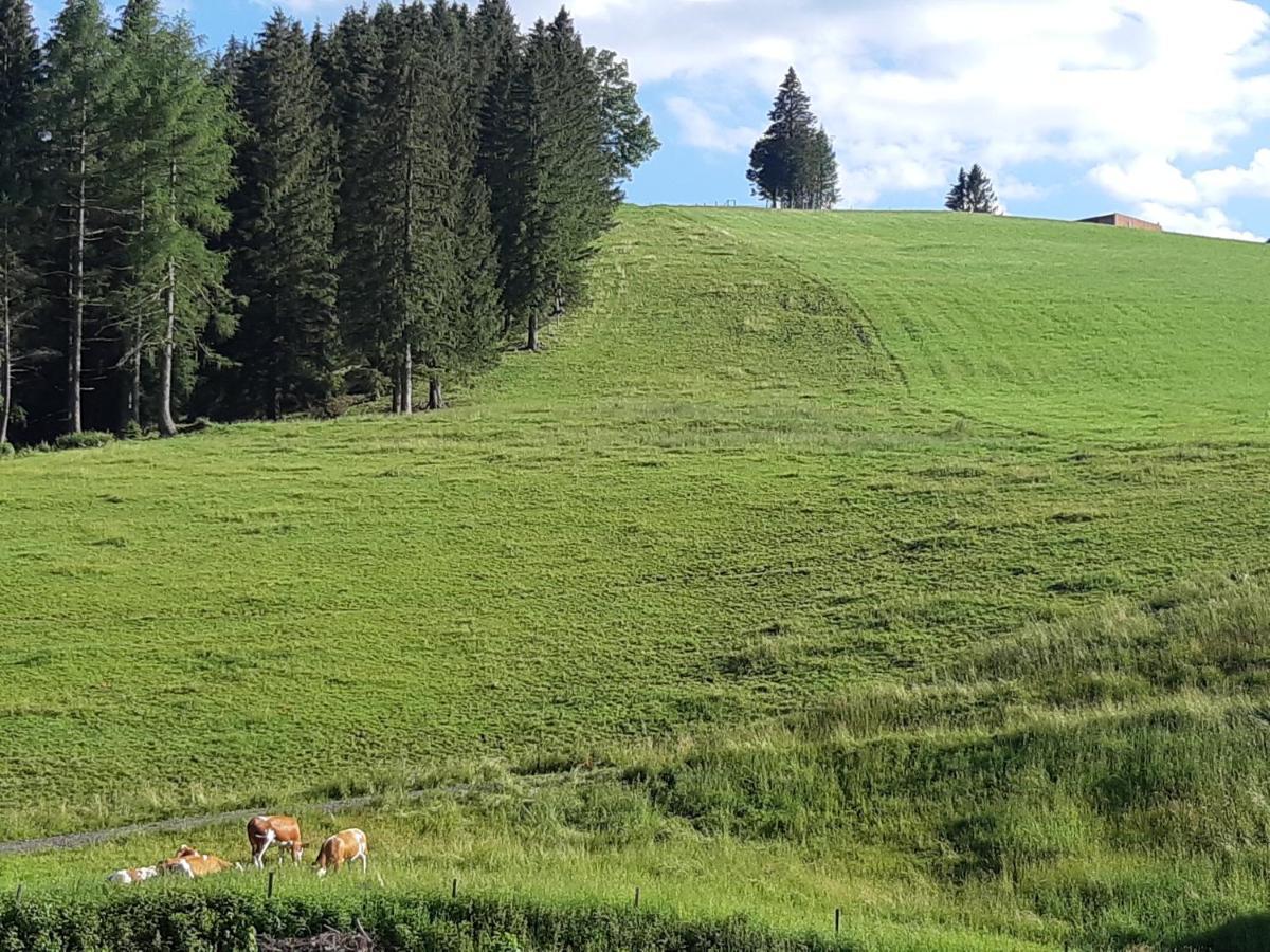 Gasthof Klug Zum Ehrensepp Modriach Eksteriør billede